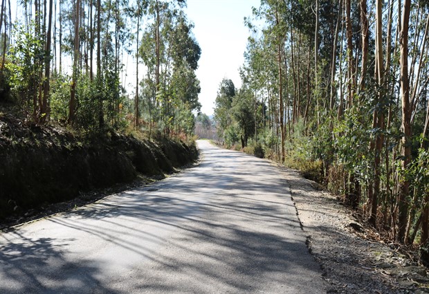Concluída 1.ª Fase da Requalificação da Avenida de S. Gens
