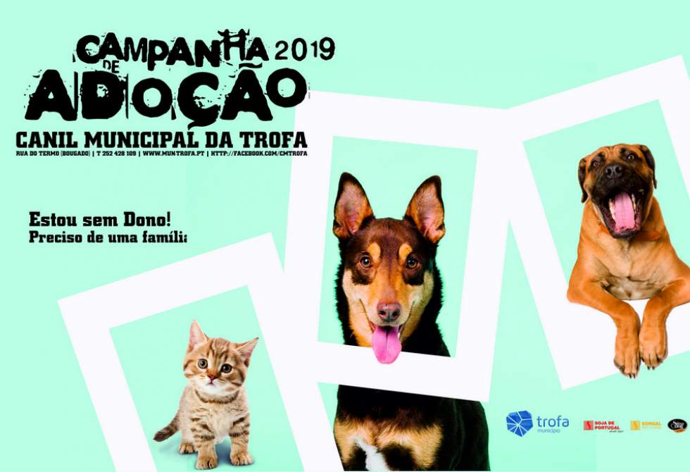 CÂMARA DESAFIA TROFENSES A COMEÇAREM 2019 COM ADOÇÃO RESPONSÁVEL