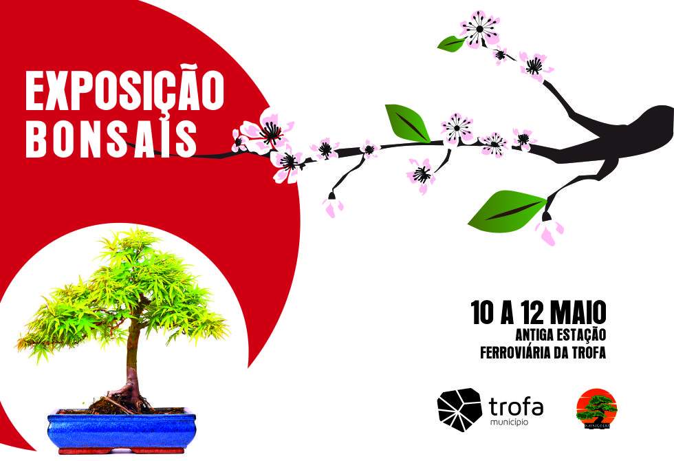 DOMINGOS CRUZ EXPÕE DE 10 A 12 DE MAIO NA ANTIGA ESTAÇÃO DA TROFA