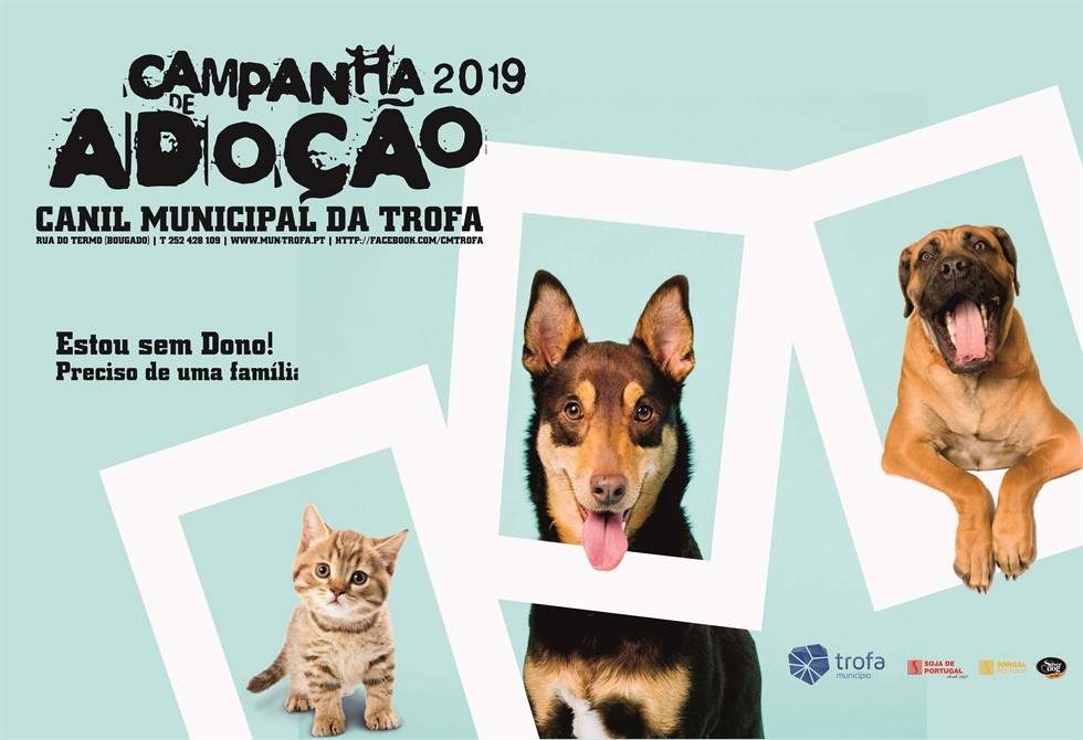 CÂMARA DA TROFA REFORÇA CAMPANHA DE ADOÇÃO RESPONSÁVEL DE ANIMAIS DE COMPANHIA EM ÉPOCA DE VERÃO