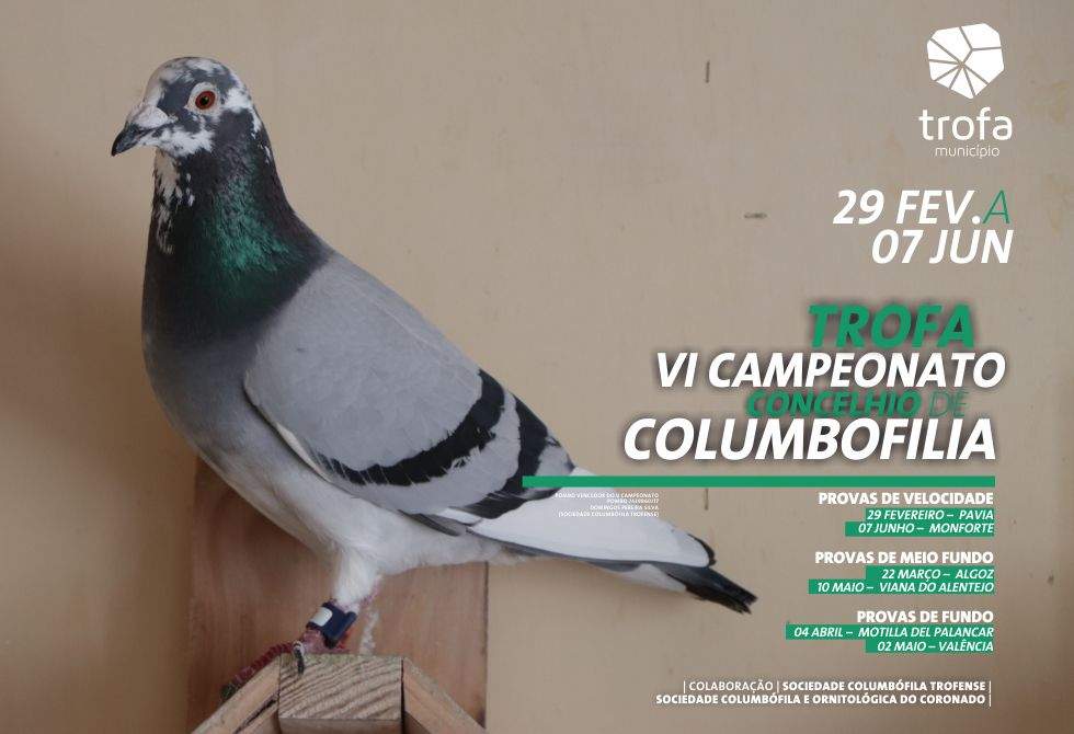 CAMPEONATO CONCELHIO DE COLUMBOFILIA REGRESSA PARA A SEXTA EDIÇÃO