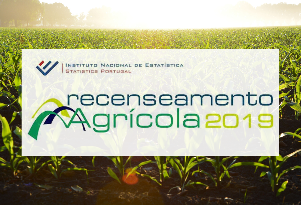 RECENSEAMENTO AGRÍCOLA 2019 SERÁ FEITO POR VIA TELEFÓNICA