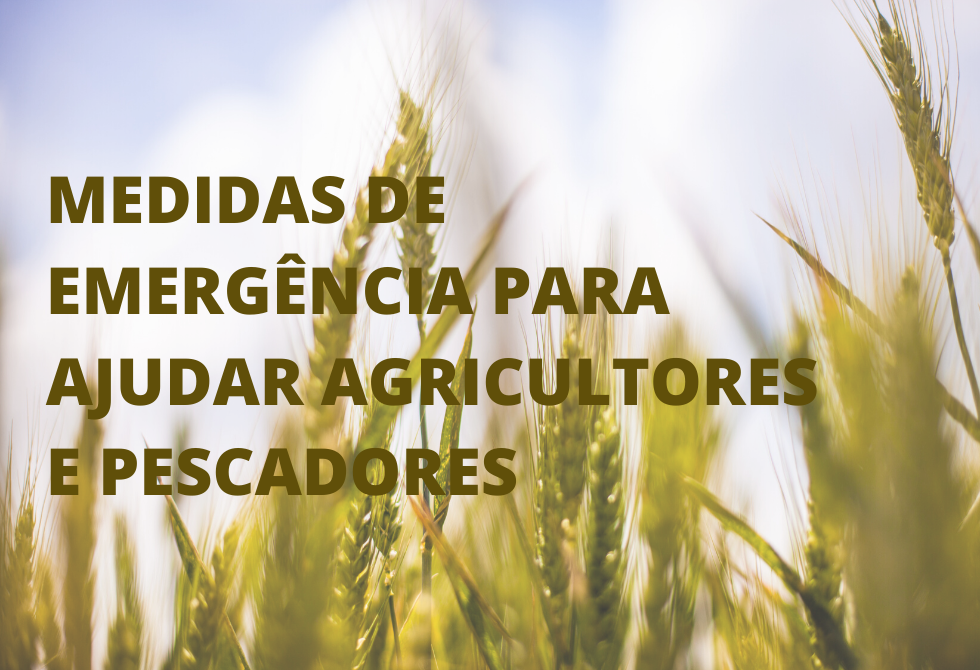 UNIÃO EUROPEIA APROVA MEDIDAS DE EMERGÊNCIA PARA AJUDAR AGRICULTORES E PESCADORES