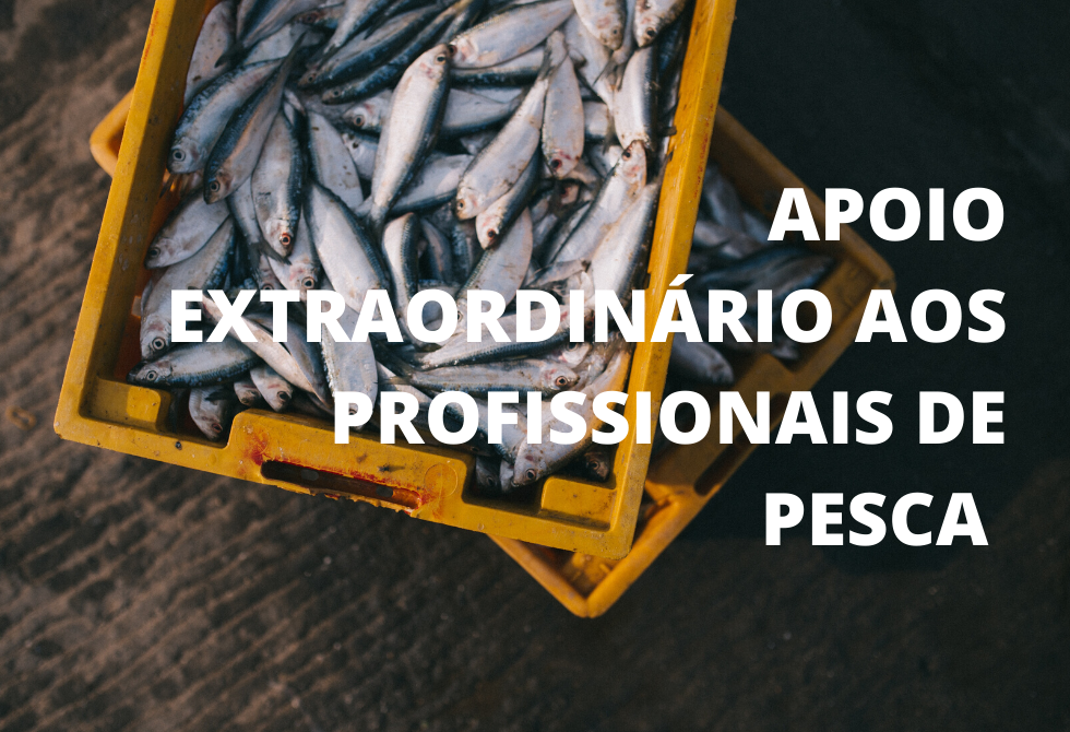 GOVERNO DECRETA APOIO EXTRAORDINÁRIO AOS PROFISSIONAIS DE PESCA