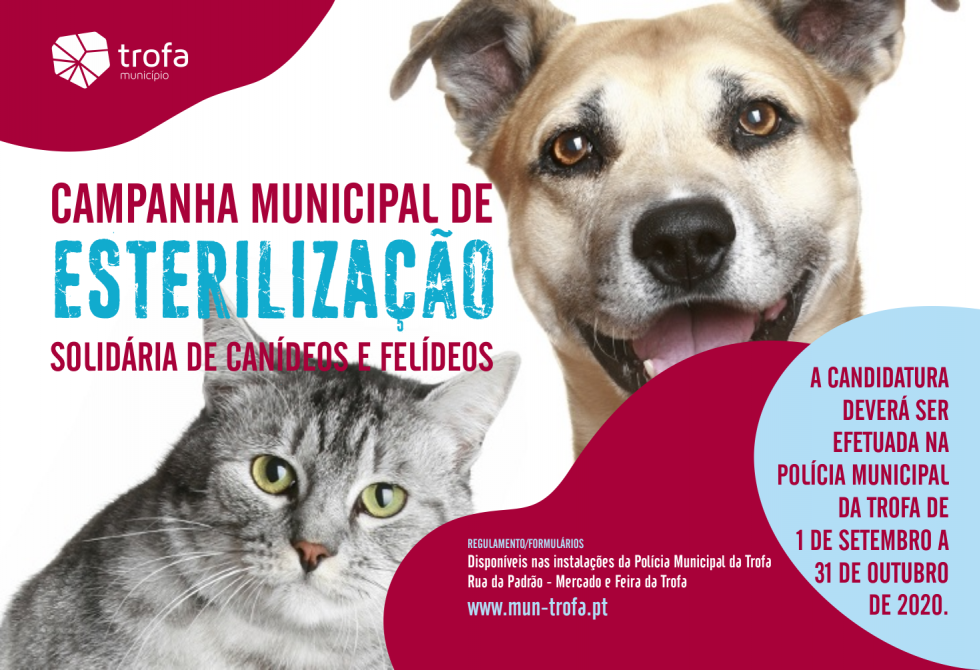 CÂMARA MUNICIPAL DA TROFA AVANÇA COM ESTERILIZAÇÃO SOLIDÁRIA DE CÃES E GATOS