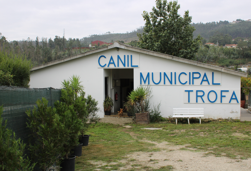 CÂMARA MUNICIPAL DA TROFA VAI REQUALIFICAR CANIL MUNICIPAL