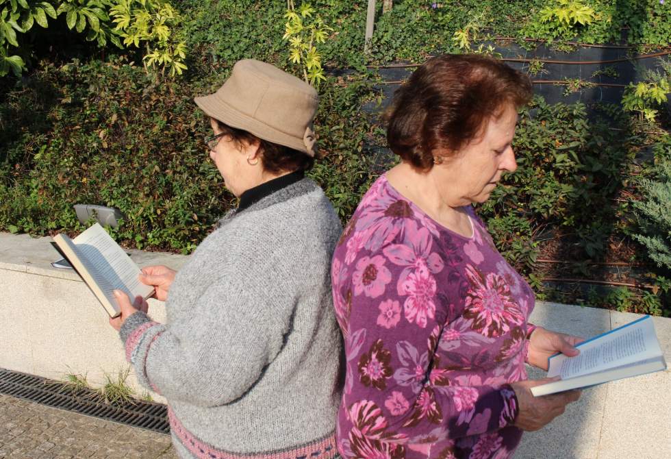 CÂMARA MUNICIPAL QUER VOLTAR A PÔR A #TROFAALER