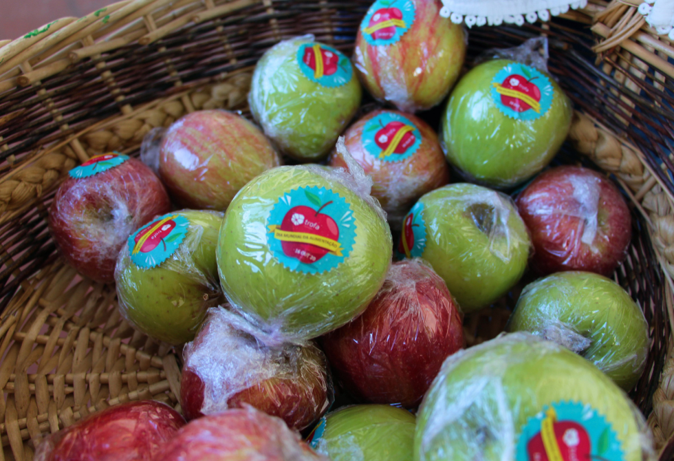 TROFA ALARGA REGIME DE FRUTA NAS ESCOLAS ÀS CRIANÇAS DA EDUCAÇÃO PRÉ-ESCOLAR