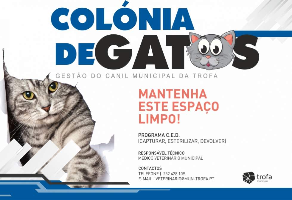 CANIL MUNICIPAL DA TROFA PROMOVE BEM-ESTAR ANIMAL COM PROGRAMA DE CONTROLO DE COLÓNIAS DE GATOS NO MUNICÍPIO