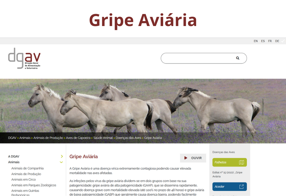 CÂMARA MUNICIPAL DIVULGA COMUNICADO DE ALERTA DA DIREÇÃO-GERAL DE ALIMENTAÇÃO E VETERINÁRIA DEPOIS DE DETETADO FOCO DE GRIPE AVIÁRIA NO CONCELHO DE VILA DO CONDE