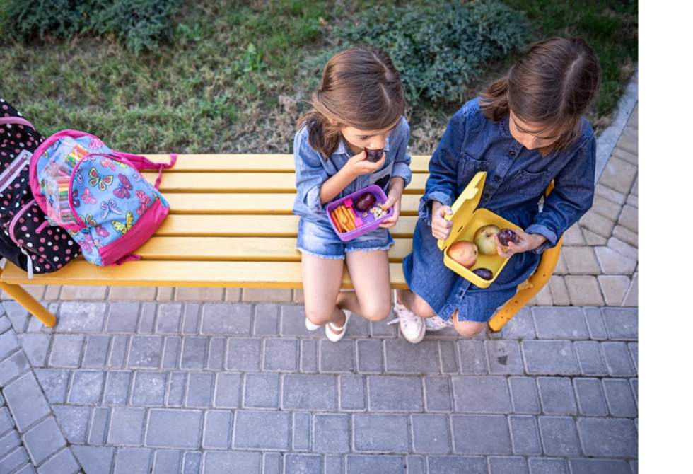 CÂMARA DA TROFA LEVA ALIMENTAÇÃO SAUDÁVEL ÀS ESCOLAS
