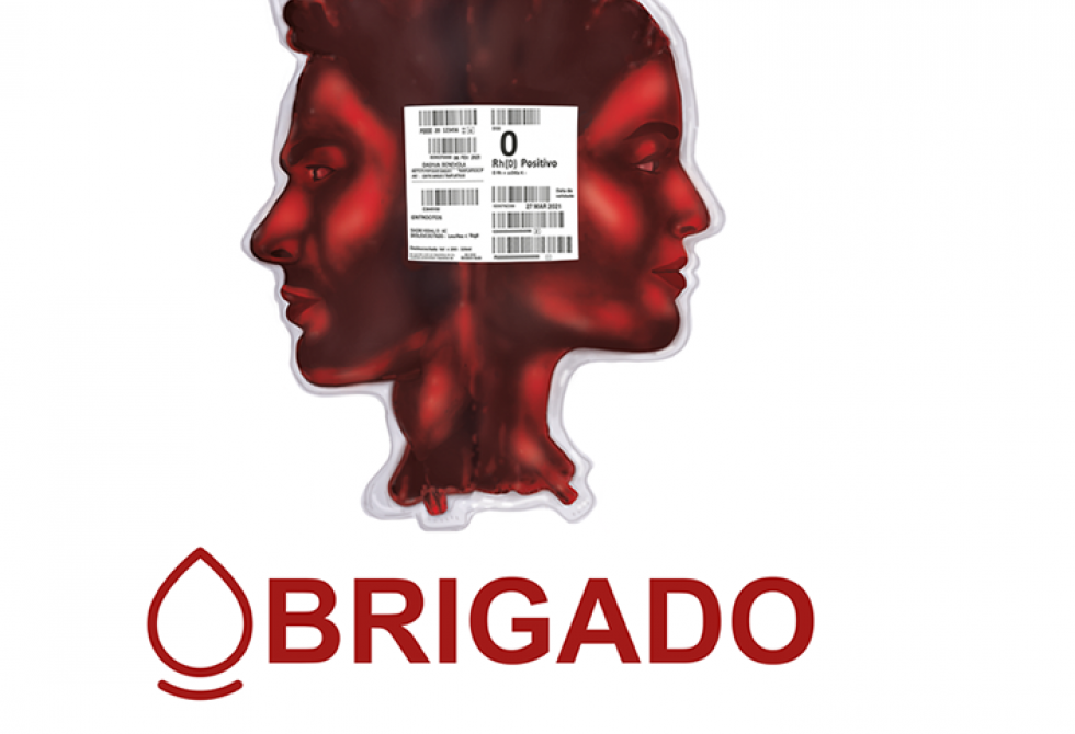 FALUAL GROUP E INSTITUTO PORTUGUÊS DE SANGUE ORGANIZAM COLHEITA DE SANGUE