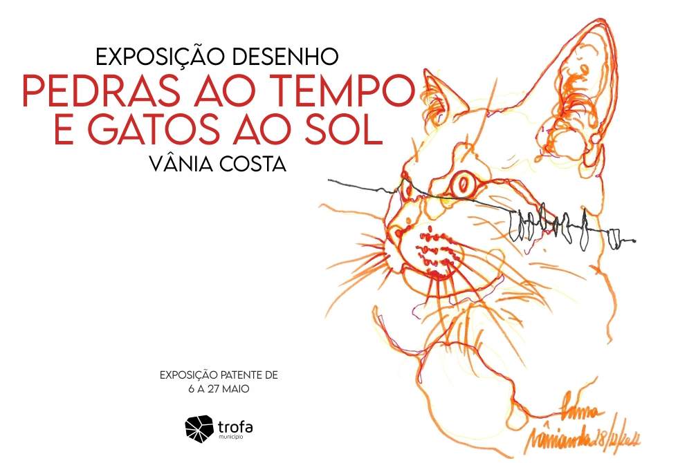 “PEDRAS AO TEMPO E GATOS AO SOL” DE VÂNIA COSTA EM EXPOSIÇÃO NA CCT