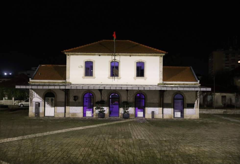 CÂMARA DA TROFA ASSOCIA-SE AO DIA INTERNACIONAL DAS MASTOCITOSES E PATOLOGIAS MASTOCITÁRIAS COM CAMINHADA NO PARQUE DAS AZENHAS